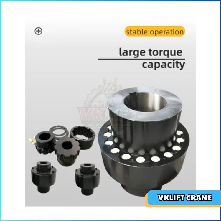 Cách Lựa Chọn Khớp Nối Liền Bánh Phanh Phù Hợp Với Từng Loại Cầu Trục
